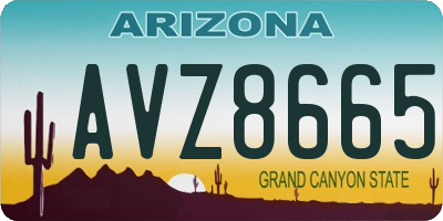 AZ license plate AVZ8665