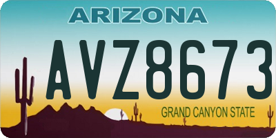 AZ license plate AVZ8673