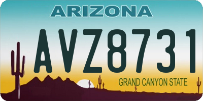 AZ license plate AVZ8731