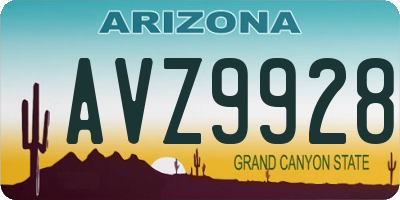 AZ license plate AVZ9928