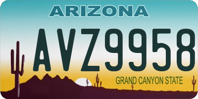 AZ license plate AVZ9958