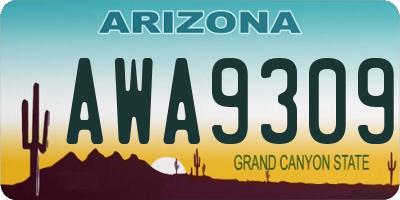 AZ license plate AWA9309