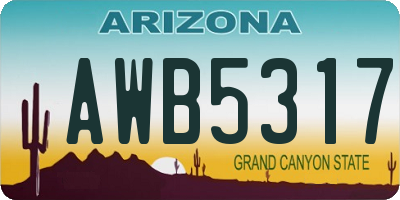 AZ license plate AWB5317