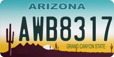 AZ license plate AWB8317