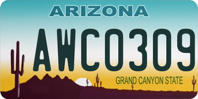 AZ license plate AWC0309