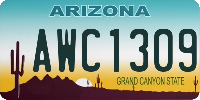 AZ license plate AWC1309
