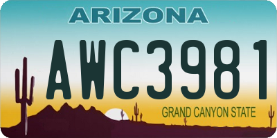 AZ license plate AWC3981