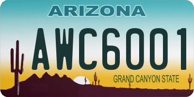 AZ license plate AWC6001