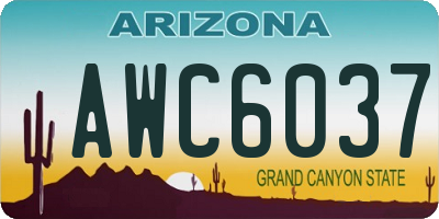 AZ license plate AWC6037