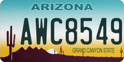 AZ license plate AWC8549