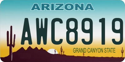 AZ license plate AWC8919