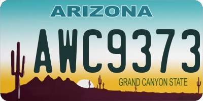AZ license plate AWC9373