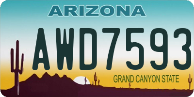 AZ license plate AWD7593