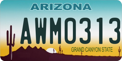 AZ license plate AWM0313