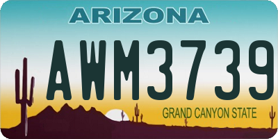 AZ license plate AWM3739