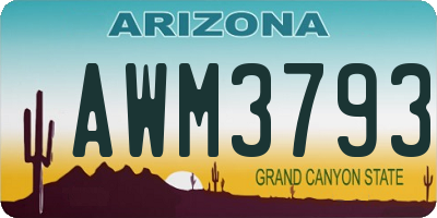 AZ license plate AWM3793