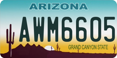 AZ license plate AWM6605