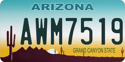 AZ license plate AWM7519
