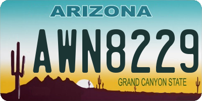 AZ license plate AWN8229