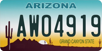 AZ license plate AWO4919