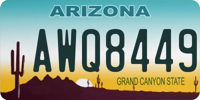 AZ license plate AWQ8449