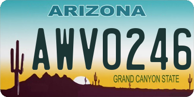 AZ license plate AWV0246