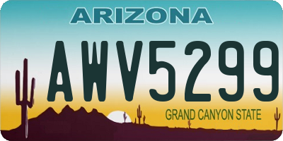 AZ license plate AWV5299