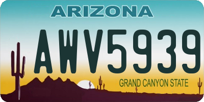 AZ license plate AWV5939