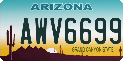AZ license plate AWV6699