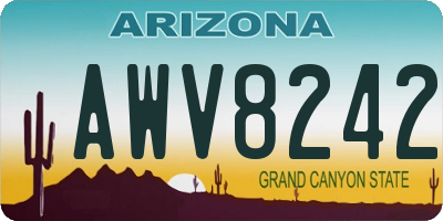 AZ license plate AWV8242