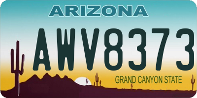 AZ license plate AWV8373