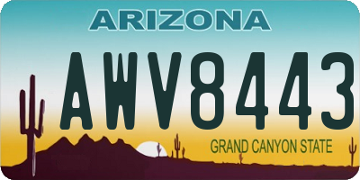 AZ license plate AWV8443