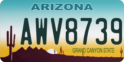 AZ license plate AWV8739
