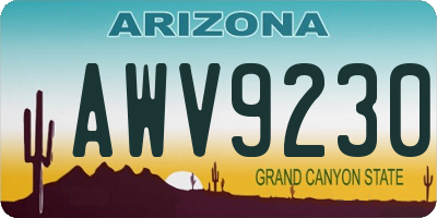 AZ license plate AWV9230