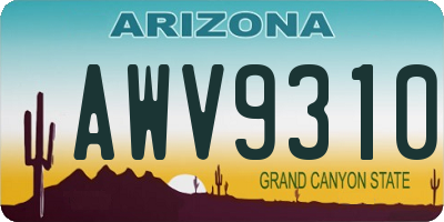 AZ license plate AWV9310