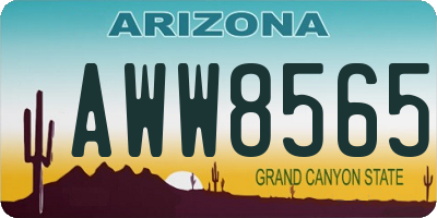 AZ license plate AWW8565
