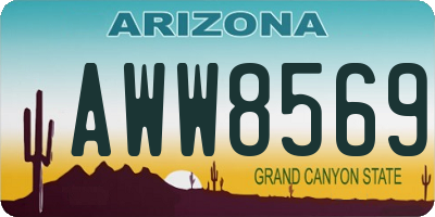 AZ license plate AWW8569