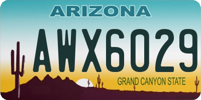 AZ license plate AWX6029
