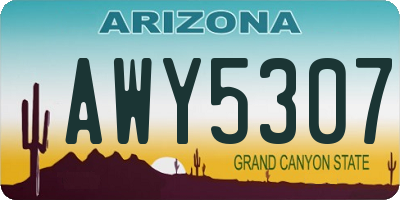 AZ license plate AWY5307