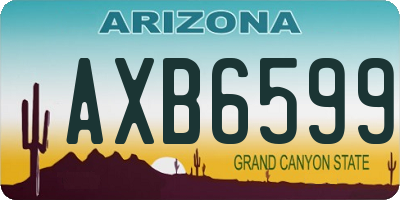 AZ license plate AXB6599