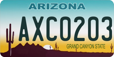 AZ license plate AXC0203