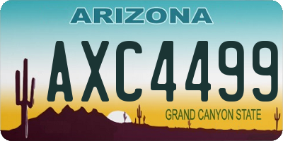AZ license plate AXC4499