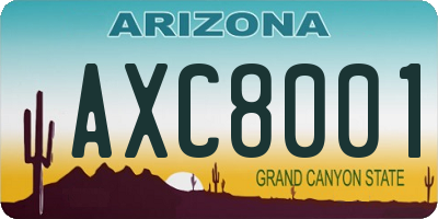 AZ license plate AXC8001