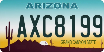 AZ license plate AXC8199