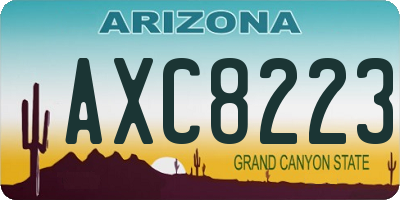 AZ license plate AXC8223