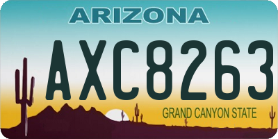 AZ license plate AXC8263