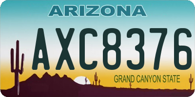 AZ license plate AXC8376