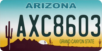 AZ license plate AXC8603