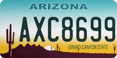 AZ license plate AXC8699