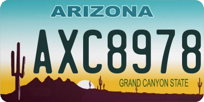 AZ license plate AXC8978